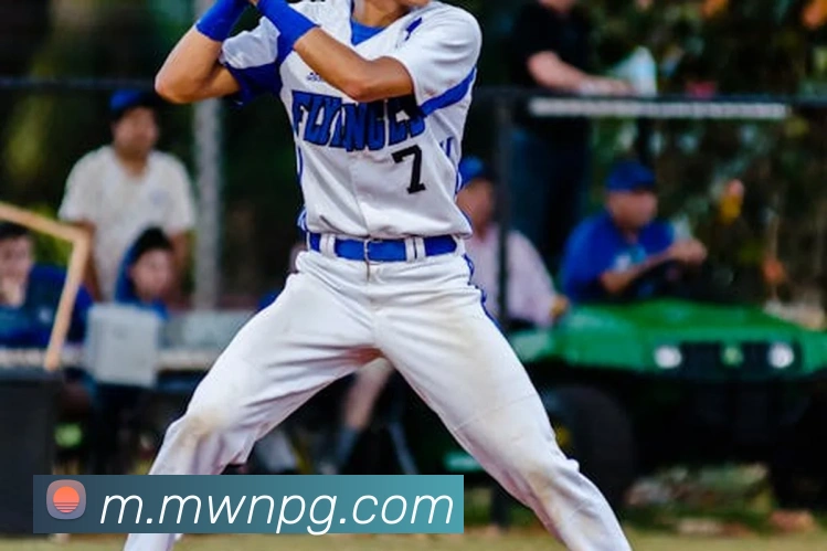 nba投注网站平台生态图